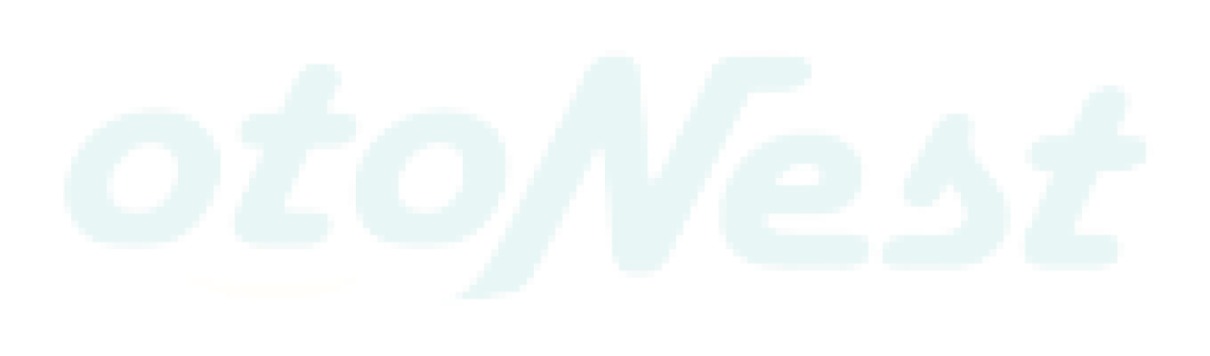 no_alt