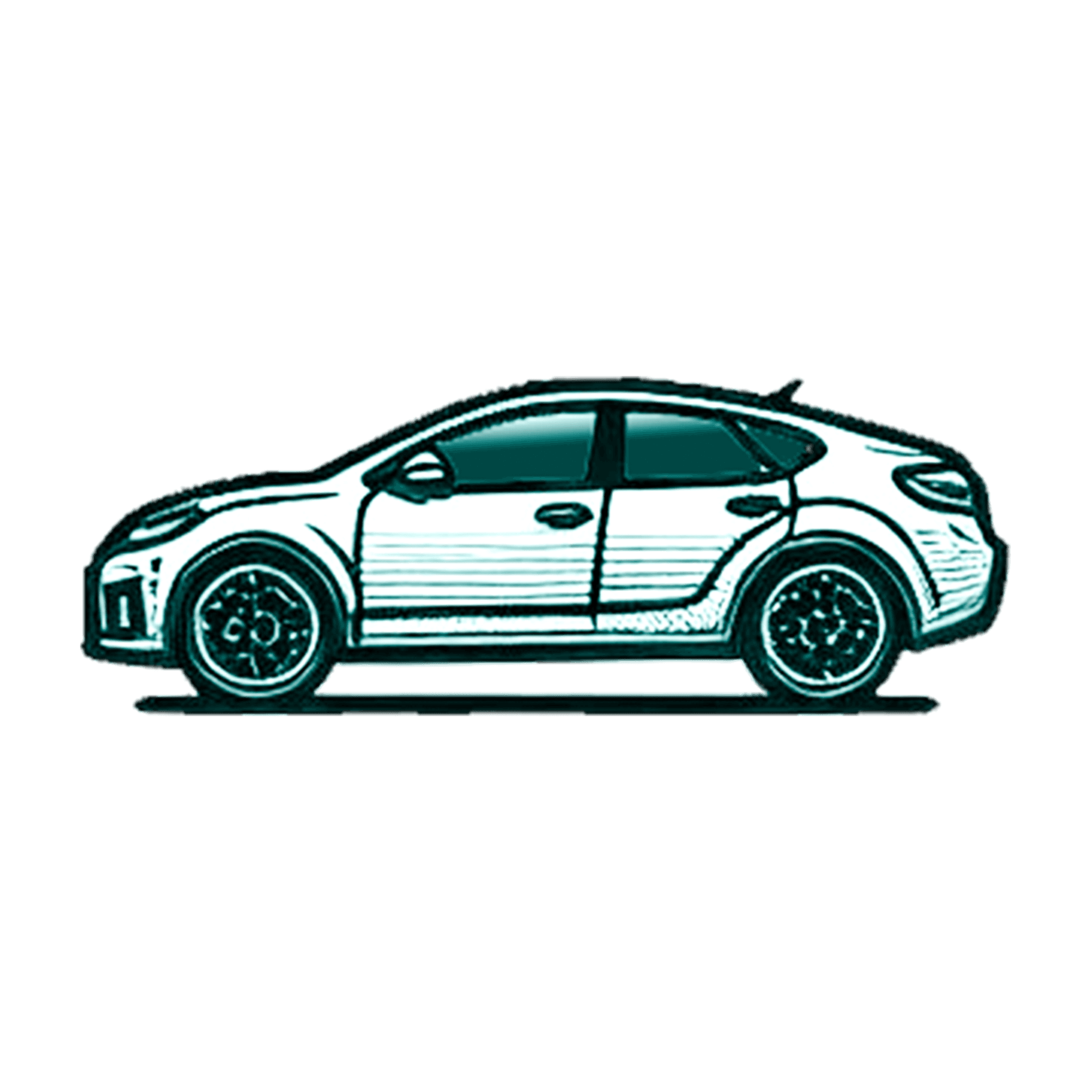 body-type-image